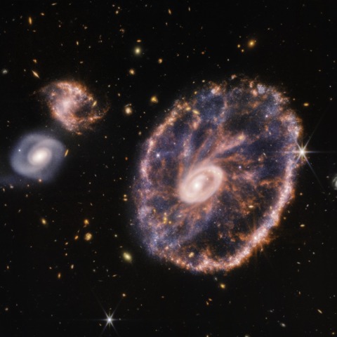 James Webb Space Telescope image of the Cartwheel Galaxy