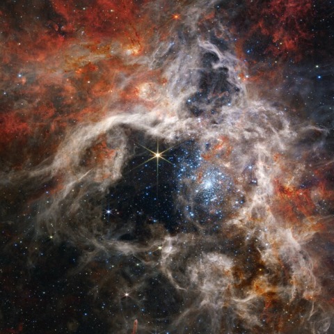 A giant star forming region is revealed by the Webb in new light.