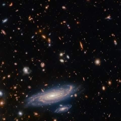 Galaxies dominate this view from the James Webb Space Telescope