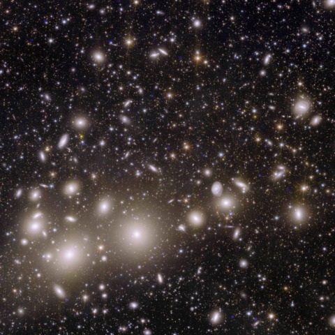 The Perseus Galaxy Cluster Seen with the Euclid Space Telescope