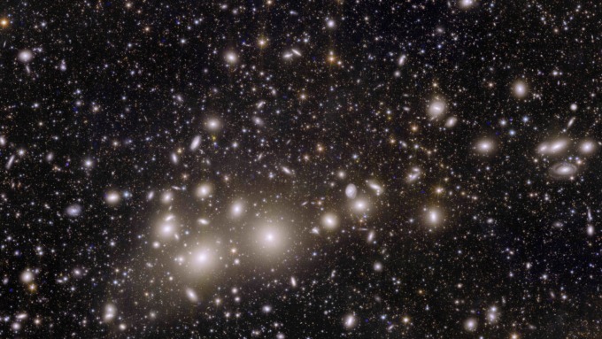 The Perseus Galaxy Cluster Seen with the Euclid Space Telescope